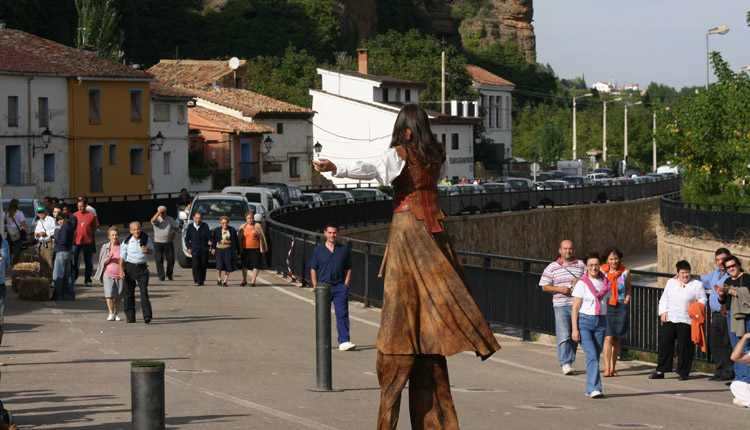 FAYOS_CETRELARIA_03